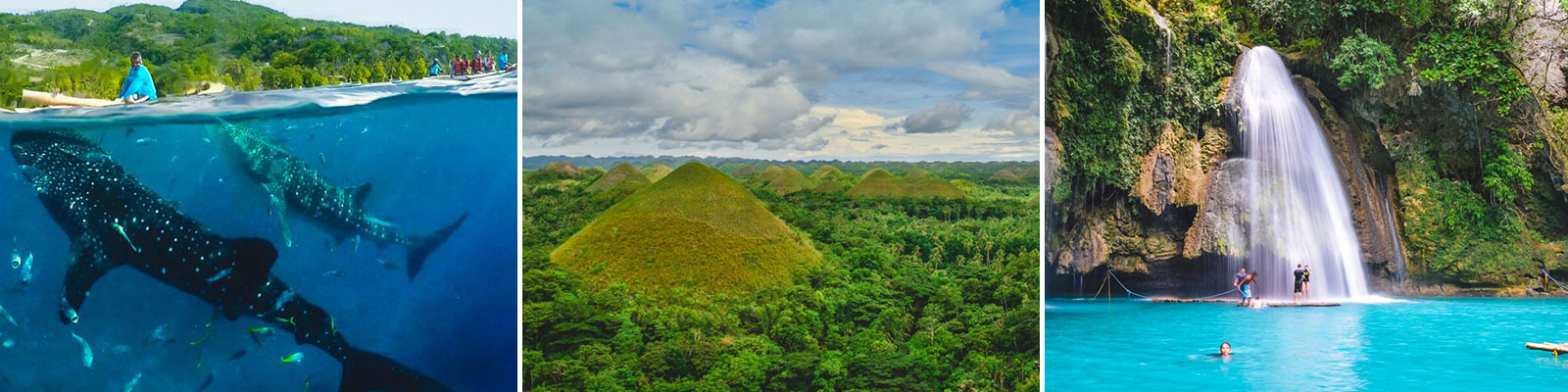 tour packages cebu bohol